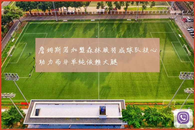 詹姆斯若加盟森林狼将成球队核心助力而非单纯依赖大腿